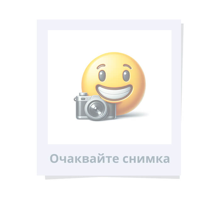 ПАНЕР ПЛАТ ГОЛЯМ